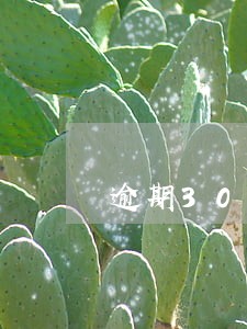 逾期30天的催收 逾期30天的催收