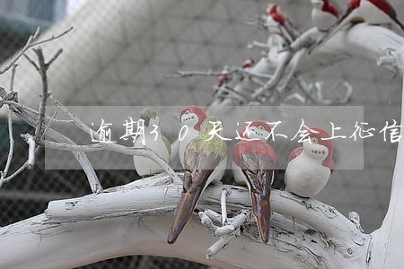 逾期30天还不会上征信吗