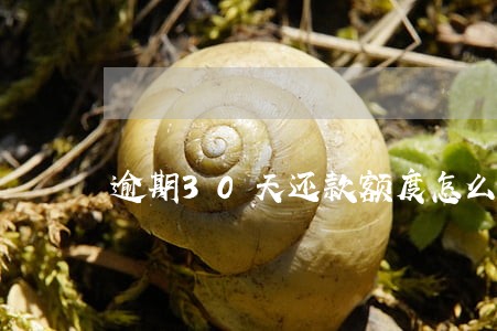 逾期30天还款额度怎么恢复 逾期30天还款额度怎么恢复