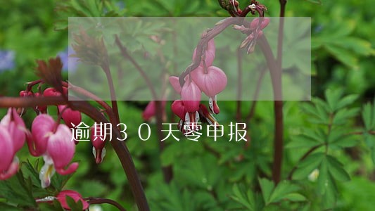 逾期30天零申报 逾期30天零申报
