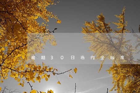 逾期30日违约金标准 逾期30日违约金标准
