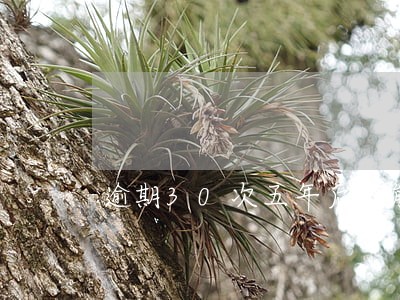 逾期30次五年后还能贷款吗 逾期30次五年后还能贷款吗