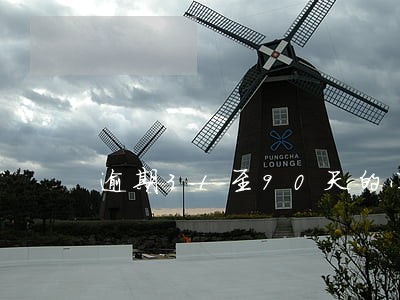 逾期31至90天的小企业贷款 逾期31至90天的小企业贷款