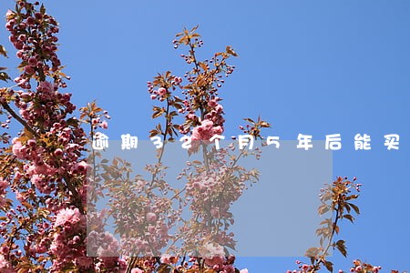逾期32个月5年后能买房 逾期32个月5年后能买房