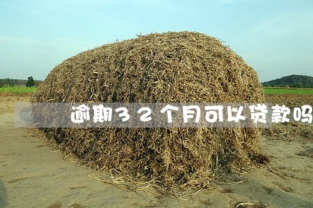 逾期32个月可以贷款吗 逾期32个月可以贷款吗