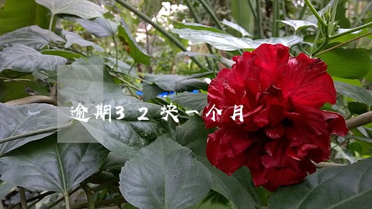 逾期32块一个月 逾期32块一个月