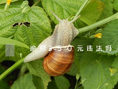 逾期350元违法吗
