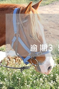 逾期350天贷款五级分类 逾期350天贷款五级分类