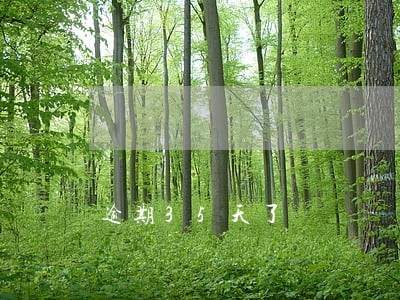 逾期35天了 逾期35天了