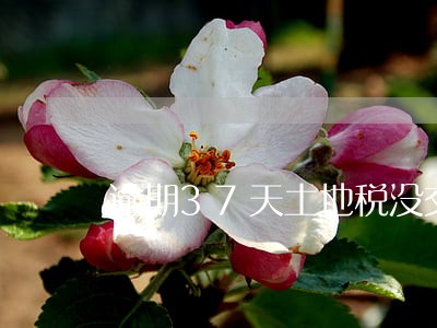 逾期37天土地税没交罚款多少