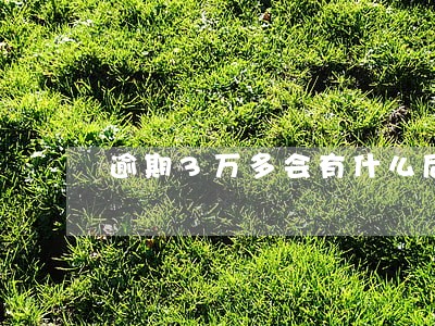 逾期3万多会有什么后果 逾期3万多会有什么后果