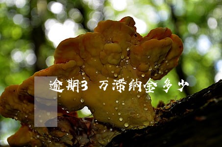 逾期3万滞纳金多少 逾期3万滞纳金多少