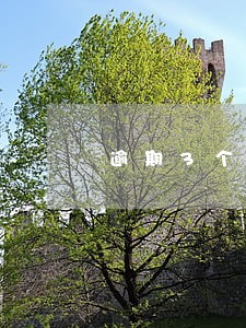 逾期3个小时以后会怎么样 逾期3个小时以后会怎么样