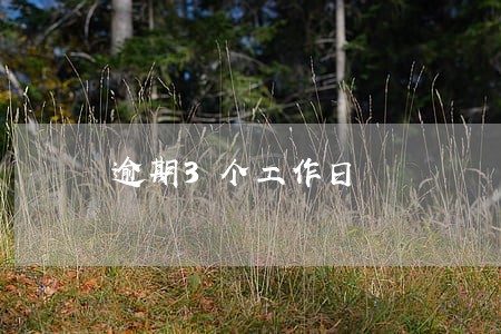逾期3个工作日 逾期3个工作日