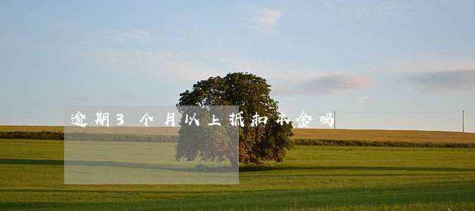 逾期3个月以上抵扣本金吗 逾期3个月以上抵扣本金吗