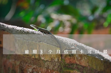 逾期3个月信用卡可以最低还款吗 逾期3个月信用卡可以最低还款吗