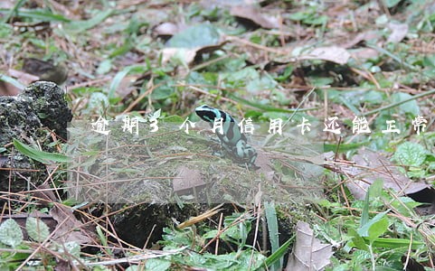 逾期3个月信用卡还能正常使用吗 逾期3个月信用卡还能正常使用吗