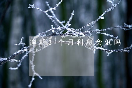 逾期3个月利息会低吗 逾期3个月利息会低吗