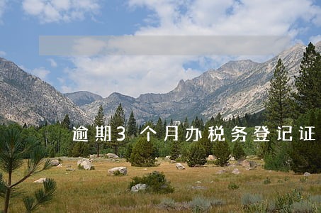 逾期3个月办税务登记证 逾期3个月办税务登记证