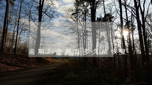 逾期3个月后多久能恢复 逾期3个月后多久能恢复