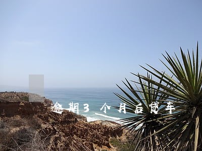 逾期3个月后贷车 逾期3个月后贷车