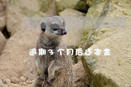 逾期3个月后还本金 逾期3个月后还本金