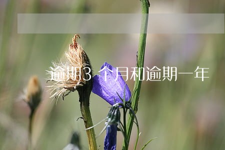 逾期3个月和逾期一年 逾期3个月和逾期一年