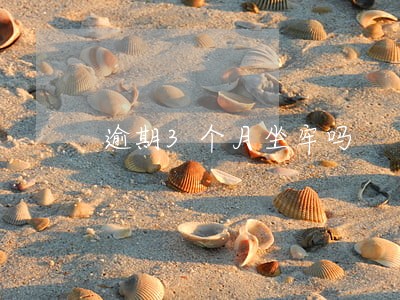 逾期3个月坐牢吗 逾期3个月坐牢吗