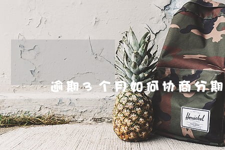逾期3个月如何协商分期 逾期3个月如何协商分期