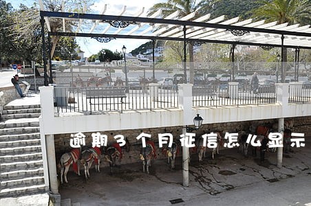 逾期3个月征信怎么显示 逾期3个月征信怎么显示