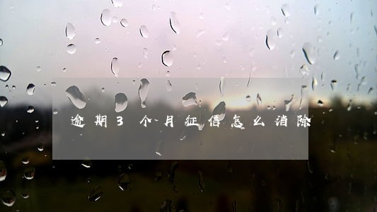 逾期3个月征信怎么消除 逾期3个月征信怎么消除