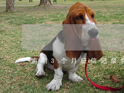 逾期3个月征信记录会怎样 逾期3个月征信记录会怎样