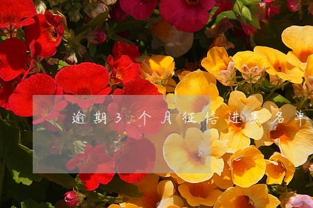 逾期3个月征信进黑名单 逾期3个月征信进黑名单