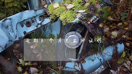 逾期3个月怎么开证明 逾期3个月怎么开证明