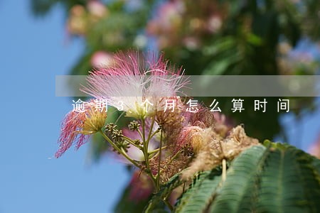 逾期3个月怎么算时间 逾期3个月怎么算时间
