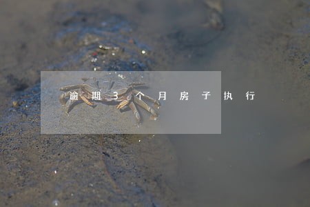 逾期3个月房子执行 逾期3个月房子执行