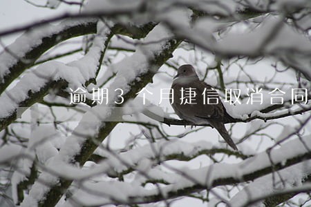 逾期3个月捷信取消合同 逾期3个月捷信取消合同