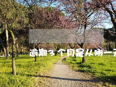 逾期3个月是从哪一天开始计算 逾期3个月是从哪一天开始计算