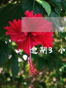 逾期3个月最低还款还会催收吗 逾期3个月最低还款还会催收吗