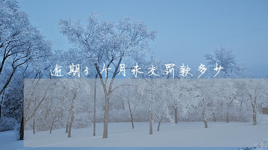 逾期3个月未交罚款多少