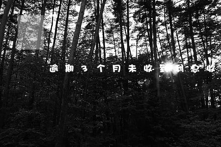 逾期3个月未收到利息收入