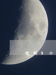 逾期3个月没报税 逾期3个月没报税