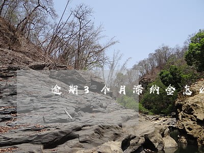 逾期3个月滞纳金怎么算的 逾期3个月滞纳金怎么算的