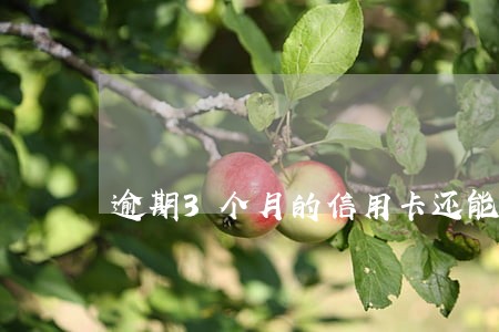 逾期3个月的信用卡还能用吗