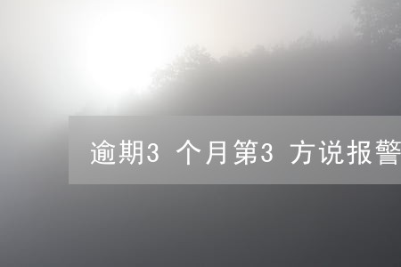 逾期3个月第3方说报警 逾期3个月第3方说报警