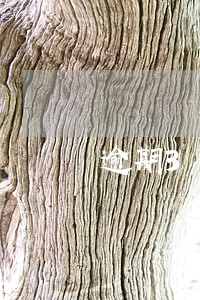 逾期3个月算是黑户么 逾期3个月算是黑户么