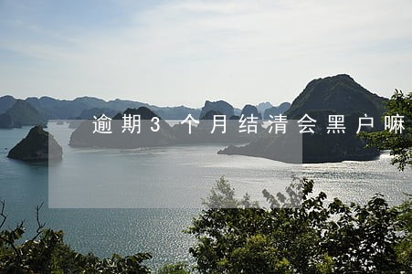 逾期3个月结清会黑户嘛 逾期3个月结清会黑户嘛