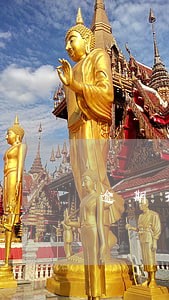 逾期3个月罚息最后比本金还高