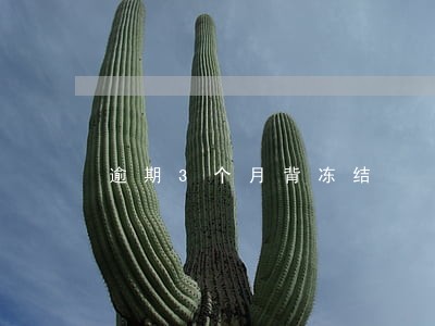逾期3个月背冻结 逾期3个月背冻结