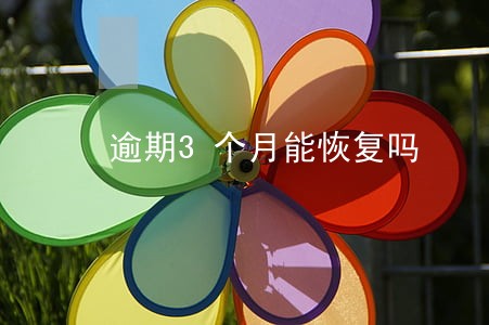 逾期3个月能恢复吗 逾期3个月能恢复吗